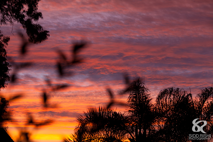 Incredible Sunset Today Sidd Rishi Photography incredible-sunset-today-sidd-rishi-photography